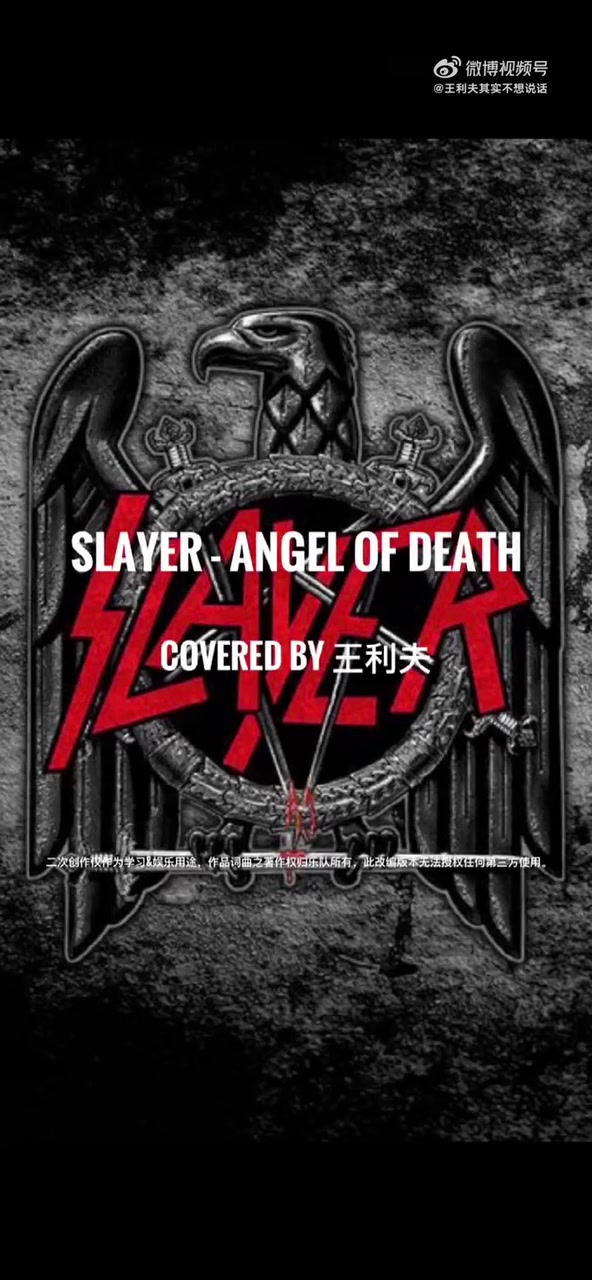 Slayer – Angel of Death 极端降弦版